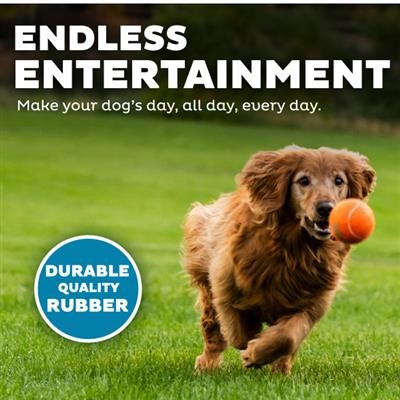 Squeaker Ballz Mlt LG 4pk