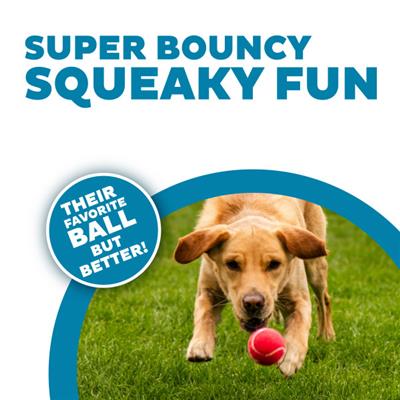 Squeaker Ballz Mlt MD 4pk