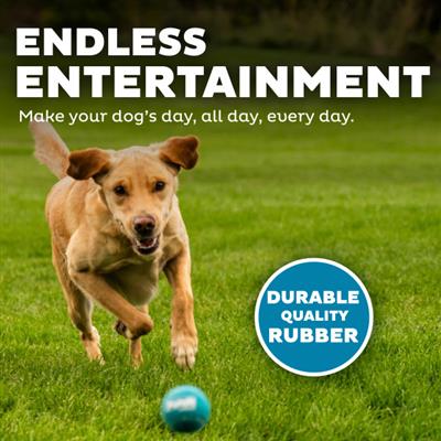 Squeaker Ballz Mlt MD 4pk