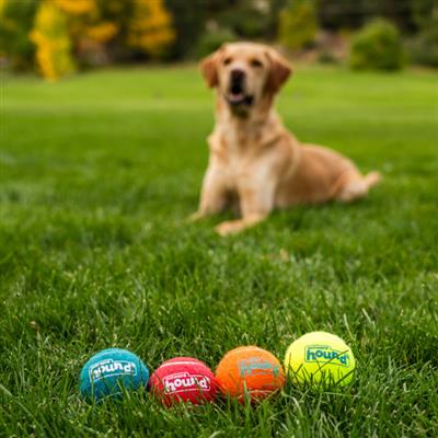 Squeaker Ballz Mlt MD 4pk