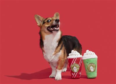 BARK Fa-La-La-Lattes Plush Dog Toy 2pc