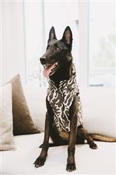 Extra Product Image