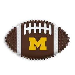 MICHIGAN HARD NYLON FOOTBALL CHEW TOY