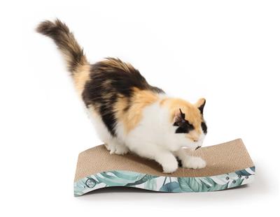 Ripple Reversible Scratcher (Go Green)