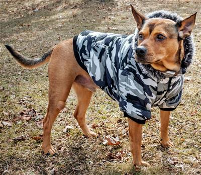 Pet Life ® Classic Camo Fashion 3M Insulated Dog Coat w/ Removable Hood – Camo - 12 Pack