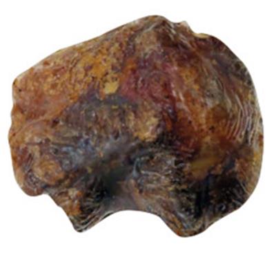 Meaty Natural Kneecaps with UPC Small PDQ of 12