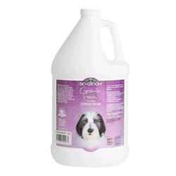 BIO-GROOM Groom'n Fresh Rinse Gallon