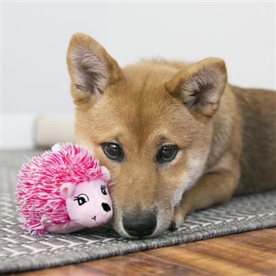 KONG Comfort HedgeHug Puppy