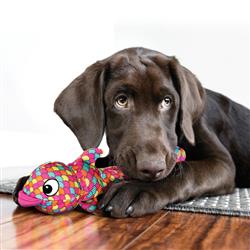 Extra Product Image