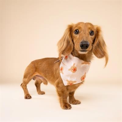Rudolph Christmas Dog Bandana