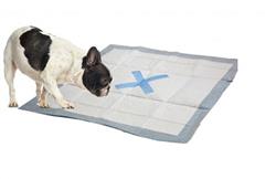 ETHICAL/SPOT X MARKS The Spot Puppy Pads 100pk