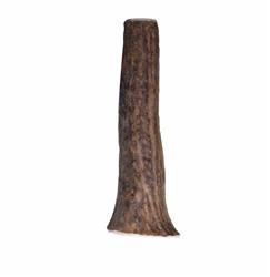 KONG® Wild Antler Whole Small