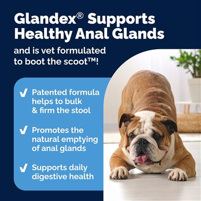 Glandex Anal Gland Support Soft Chews - Duck & Bacon Flavor 120 ct.