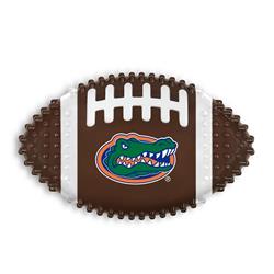 Florida Hard Nylon Football Chew Toy