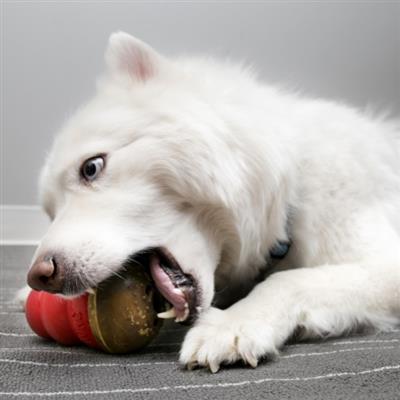 KONG® Marathon® Peanut Butter Large 2pk