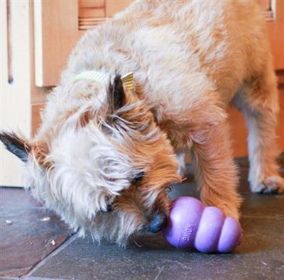 KONG® Senior Dog Chew Toy Medium