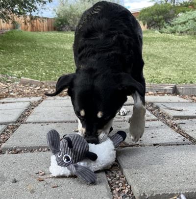 KONG® Sherps Floofs Sheep Dog Plush Toy Medium