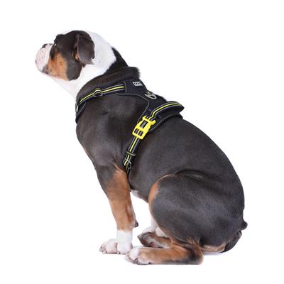 DOOG Neotech Harness NEON