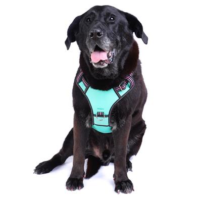 DOOG Neotech Harness NEON