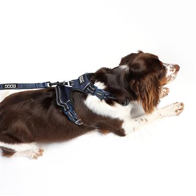 DOOG Neotech Harness SOLIDS