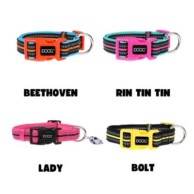 DOOG Neoprene Dog Collar NEON