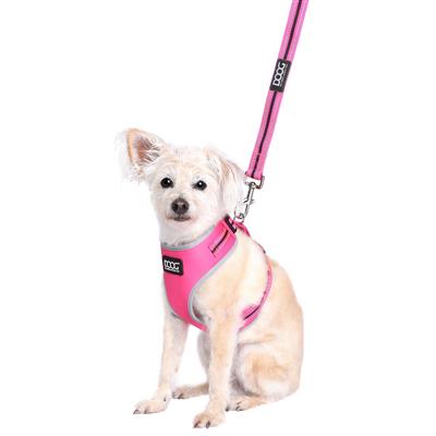 DOOG Neoprene Dog Leash NEON