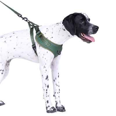 DOOG Neosport Soft Harness SOLIDS