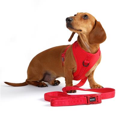 DOOG Neosport Soft Harness SOLIDS