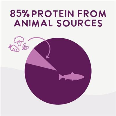 Air Dried Superfoods Salmon Recipe