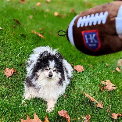 HK Football Dog Toy