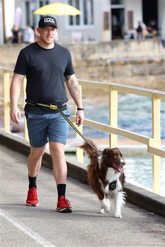 DOOG Neoprene Dog Leash 'Clip It' X-Large NEON