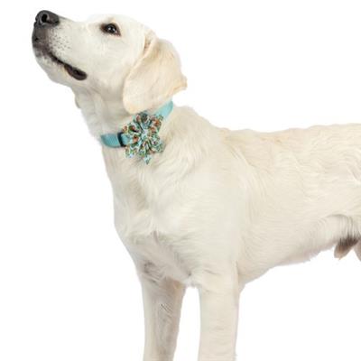 I'm Prickly Cactus Pinwheel