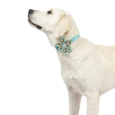 I'm Prickly Cactus Pinwheel