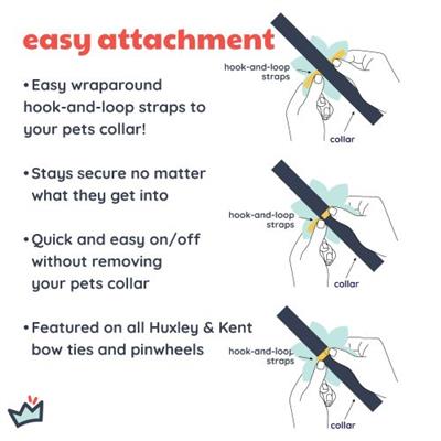 I'm Prickly Cactus Pinwheel