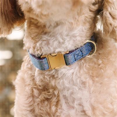 Jolie Glitter | Dog Collar