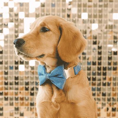 Jolie Bow Tie | Dog Collar Bow