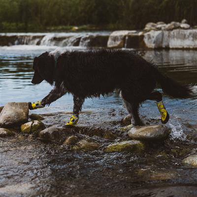Body Glove Paw Protector Booties