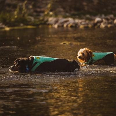 Body Glove Neoprene Pet Life Jacket