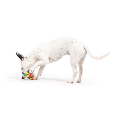 Tiny Tuff Equality Bone