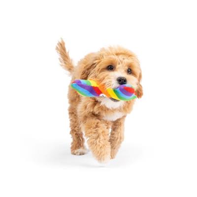 Tiny Tuff Equality Bone