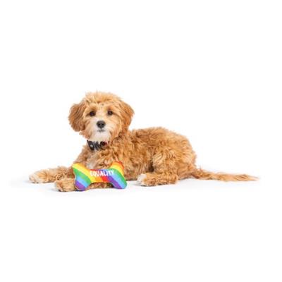 Tiny Tuff Equality Bone