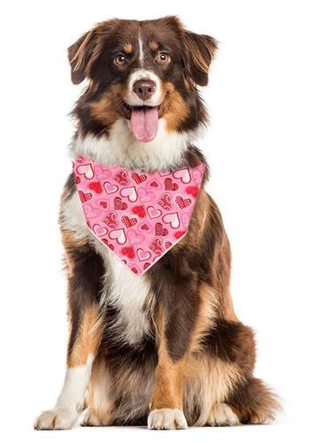 Valentine Bandana | Valentines Day Bandana | Dog Bandana | Pink Sparkle Hearts