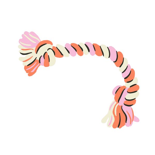 Pink Rope Toy Test Pink Rope Toy Dog Toy
