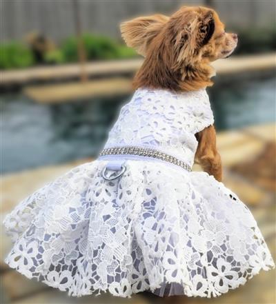White Lace Wedding Dog Dress w/ Leash & D-Ring