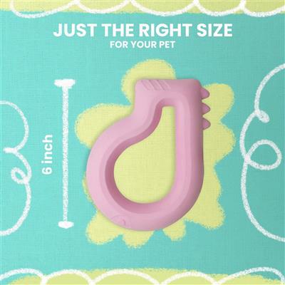 Floating Dino Dog Toy