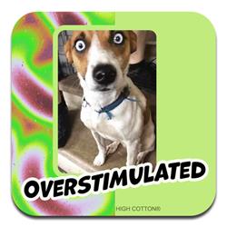 Overstimulated - Coaster