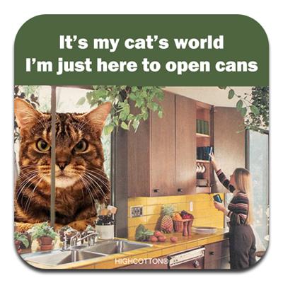 It's my cat's world - Coaster