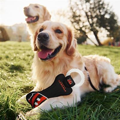 CINCINNATI BENGALS DENTAL RING TOY