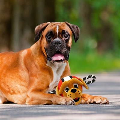 CLEVELAND BROWNS MASCOT ROPE TOY