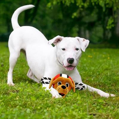 CLEVELAND BROWNS MASCOT ROPE TOY